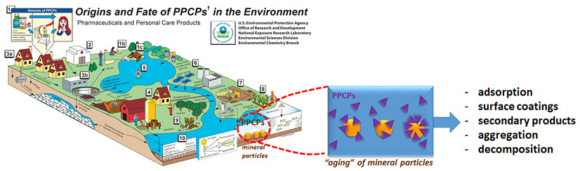 Implications of “Mineral Aging” in the Presence of PPCP