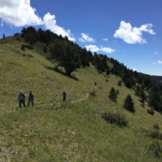 Hikers on mountain trail