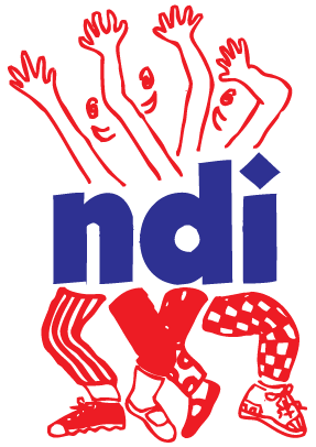 NDI Logo